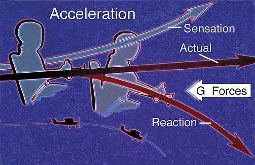 Acceleration and Deceleration: Increased G-Forces Linear acceleration: a change in speed in a straight line = takeoff, landing, and straight flight Radial