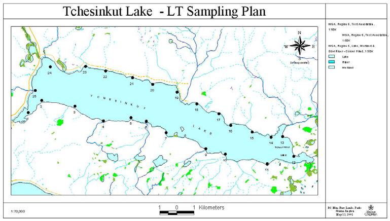 2.0 Methods 2.1 Timing Sampling was conducted over a four day period between May 28 th 31 st, when Tchesinkut Lakes water temperatures are predicted to be unstratified.