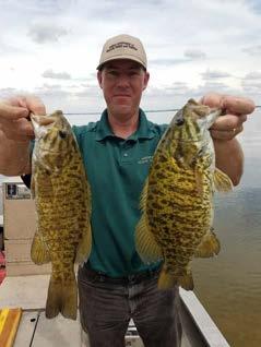 Glen Elder smallmouth bass have been managed with an 18 inch minimum length limit for approximately 20 years, and as a result, a nice population has developed as Glen consistently ranks among the top