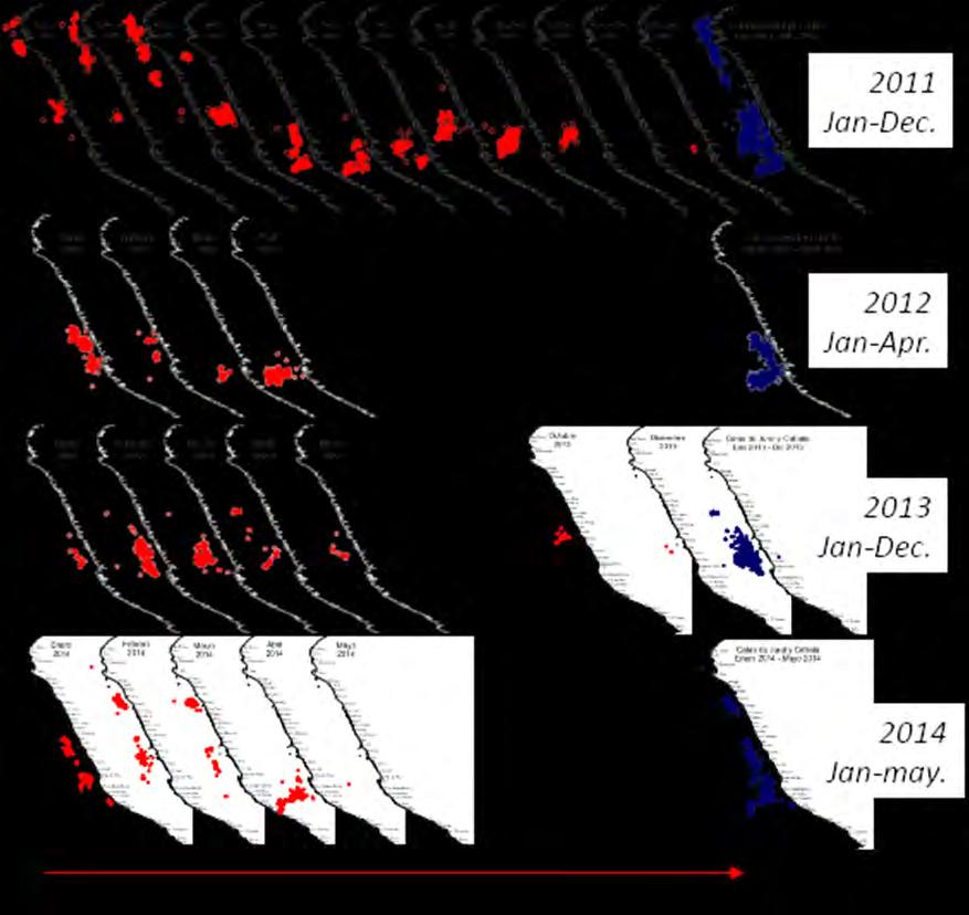 Catches, abundance and biomass 3 A comparative analysis of the spatial distribution of catches between the years 2011 to 2014 is given on figure 4.