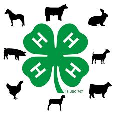 FAIR INFO. Using Pinterest Pinterest is a popular site for 4-H ers to use for gathering ideas for fair exhibits.