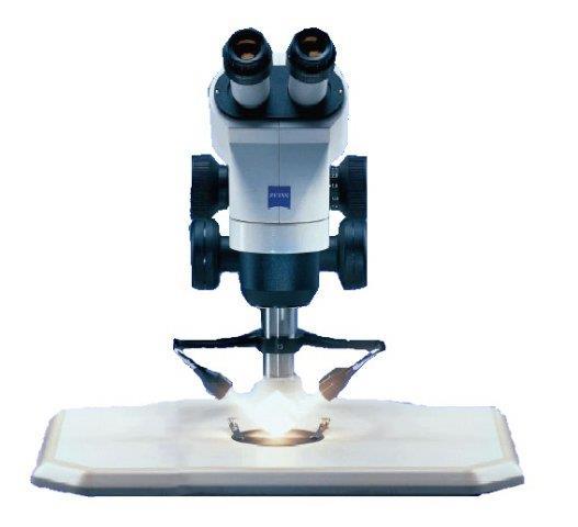 STEREOMICROSCOPE The Stereomicroscope Stemi 2000 meets your demands in two respects.