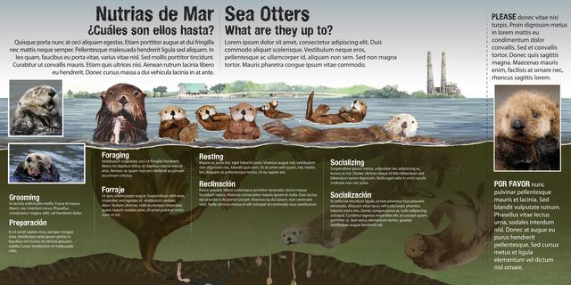 Figure 6 Wildways sample: sea otters From Grant Application: The proposed project must work to implement, at a minimum, one of the Action Plans that address the Priority Issues listed above.