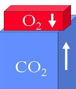 the red blood cells and exhaled into the surrounding atmosphere. Given a fixed amount of oxygen as you would have in a confined space, respiration of oxygen causes carbon dioxide to increase.