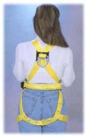 Harness Used for Fall