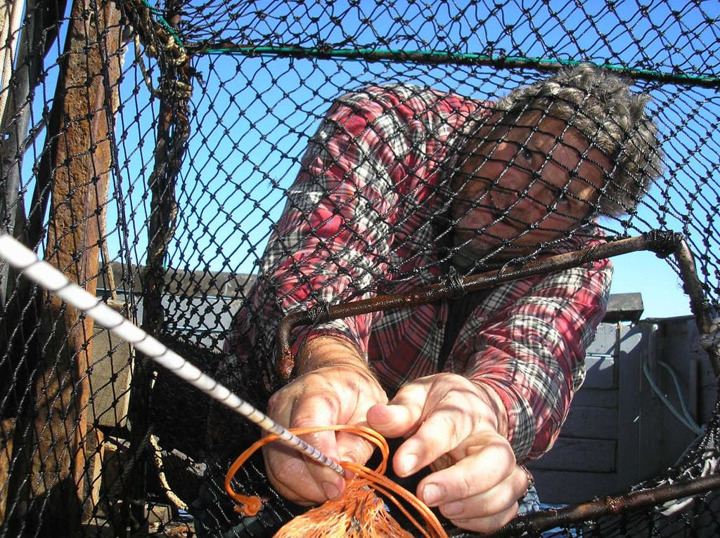 To Explore the Potential for a Non-Trawl, Low Bycatch Means of Harvesting the Increasingly Abundant Haddock Resource Principle Investigator: Industry Partner: Dr. Kenneth J. La Valley UNH Coop. Ext.