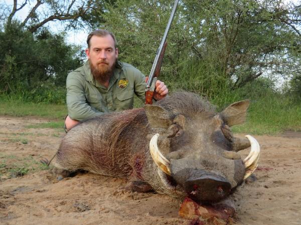 "I had been hopeful to get a shot at a warthog if the opportunity arose. As we approached a waterhole in the Limpopo hunting area before dark, three pigs spooked and headed towards the brush.