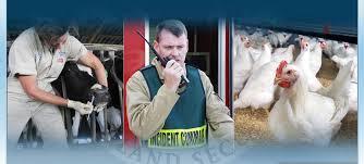 Disaster Preparedness for Farm Animals Large animals and livestock need extra consideration in disaster planning Why Livestock Owners Need to Be Prepared Disaster preparedness is important for all