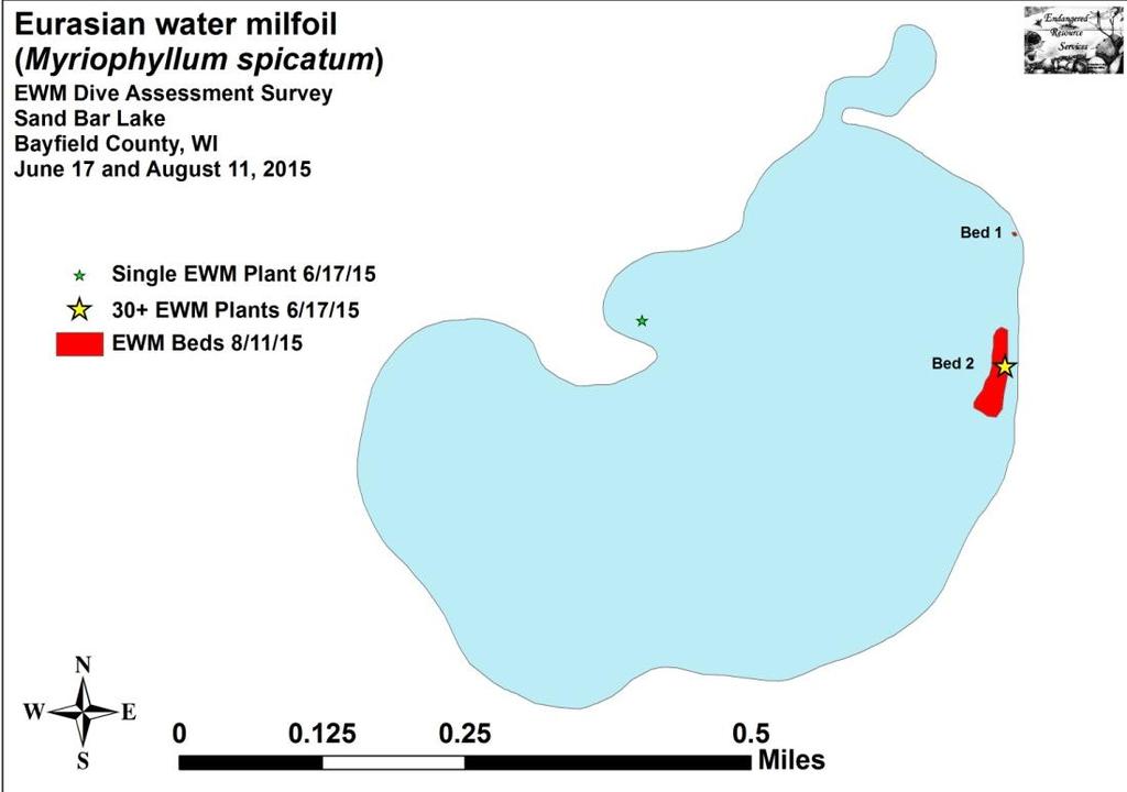 Figure 3: EWM Locations on Sand Bar Lake 6/17 and 8/11/15 September 2016 Survey: The summer of 2016 was a time of significant EWM expansion on the lake.