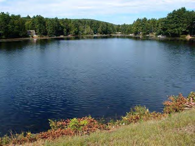 Accomplishments Pickerel Cove Limited success with herbicide treatment only Milfoil always