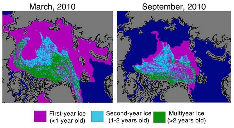 assessment of annual Arctic
