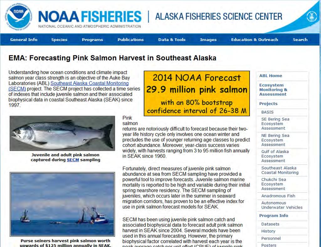 NOAA pink salmon forecast AFSC