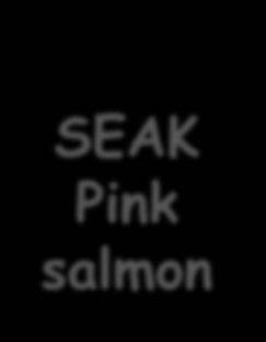 AK Pink salmon U.S.