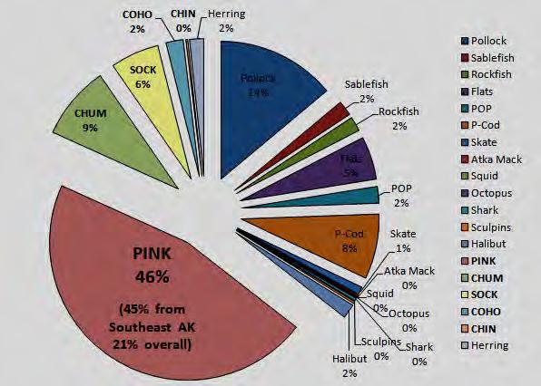 biomass of pink salmon in the