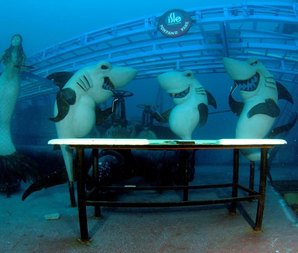 Divers expressed a clear preference for themed diving experiences associated with large