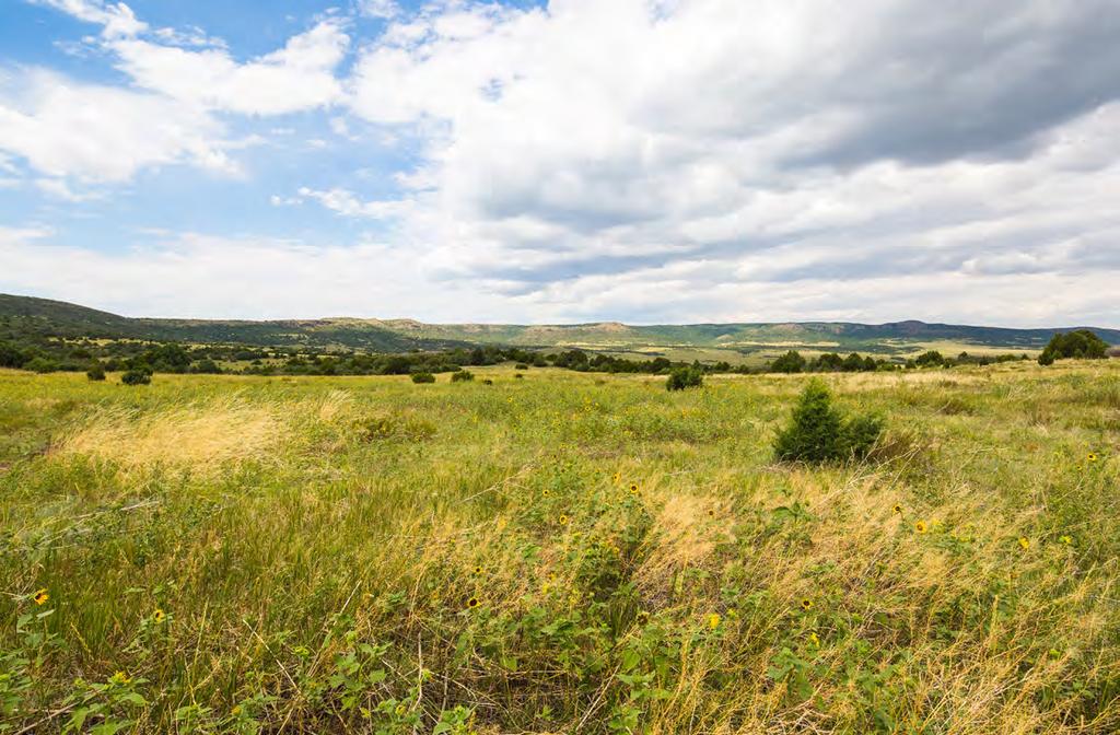 The Emery Gap Ranch is being offered for sale at $10,000,000 or approximately $1,200 per deeded acre. The New Mexico State Lease will be transferred to the buyer.