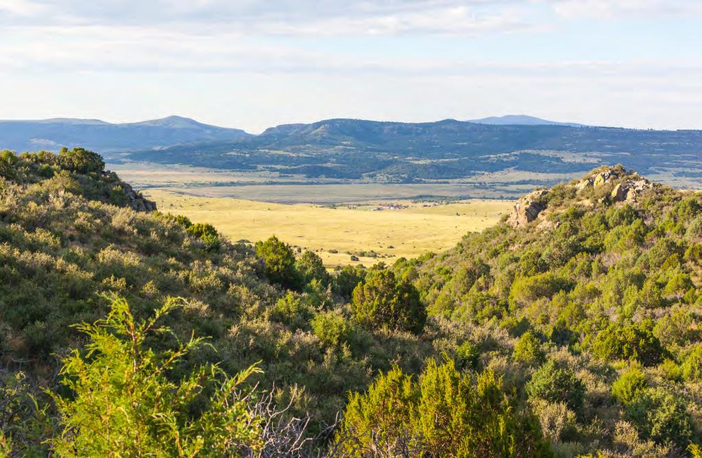 EMERY GAP RANCH UNION COUNTY, NEW MEXICO LAS ANIMAS COUNTY, COLORADO We are excited to offer for sale the spectacular Emery Gap Ranch, which is located north of
