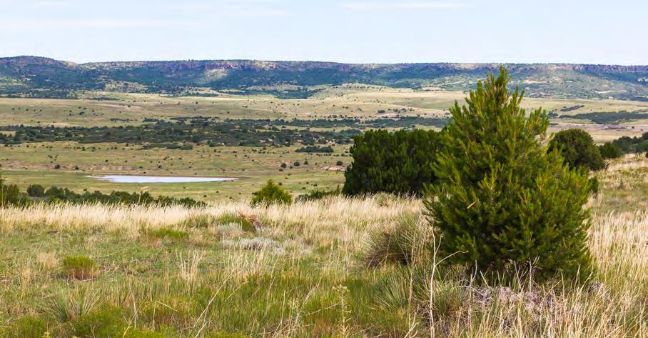 The ranch straddles the Colorado/ New Mexico line, with a small portion of the property extending into Las Animas County, Colorado, near the community of Branson.