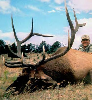 The ranch typically receives 14 either sex elk permits along with 22 cow elk