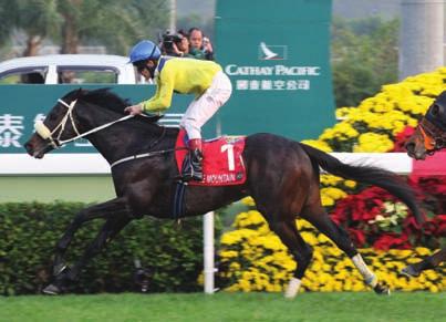 HONG KONG 2018 TOP CLASS INTERNATIONAL RACING ACTION The Hong Kong racing industry is recognised as having no peer on the world stage.