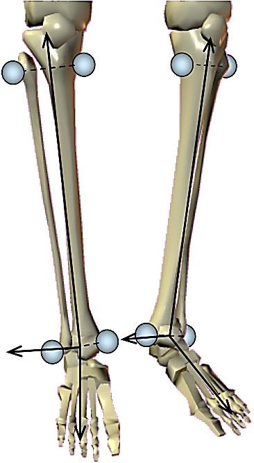 attachment positioning used for the devised measurement method. Since the R 2 of the linear regression equation for the of calcaneal pronation-to-supination and the of shank rotation was 0.