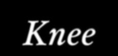 Knee Results Flexion and extension during stance phase Knee flexion 70 degrees 60 50 40 30 20 10 * * * * Normal 0 0 10