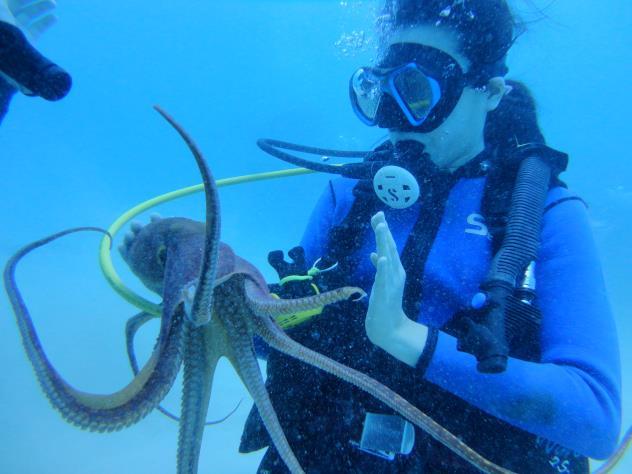 Self- Contained Diving SCUBA Jacques Cousteau