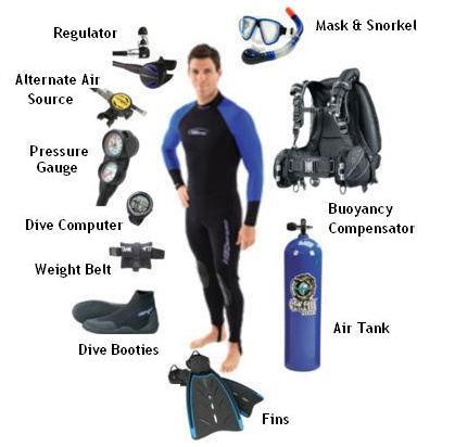 Diving Equipment: Mask (covers eyes & nose) Fins (kick more efficient, go further) Snorkel (used for surface breathing) Wetsuit (controls your body temp) Tank (contains compressed air) Weights/belt