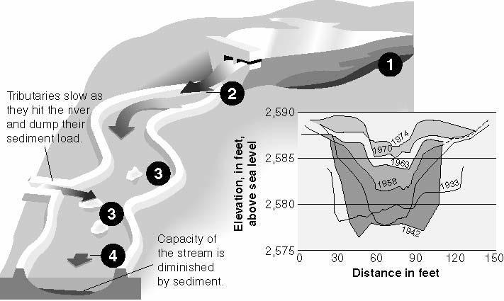 Impacts of Dams Farther downstream, the opposite can occur with silt forming islands and sandbars.