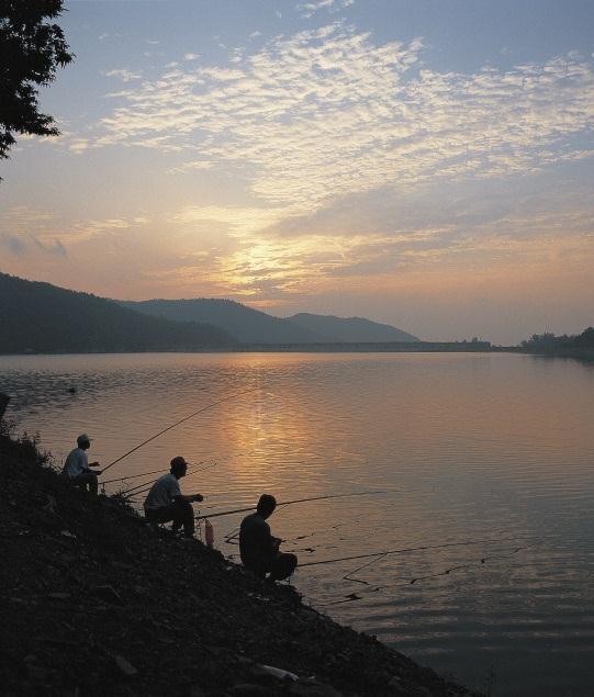 Hudson River: Who You Are Women under 50 (childbearing years) and children under 15 should not eat fish or crabs from most of the Hudson River (Corinth Dam to NYC Battery) Women