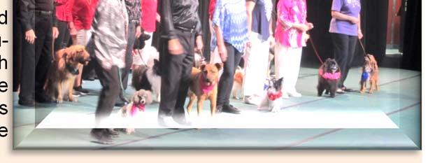 Each year, the Canine Fancy Dancers of the Obedience Club of Daytona presents this family friendly, free show for the community.