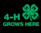 June-July 2017 web.extension.illinois.edu/cjmm/montgomery4h National 4-H Film Festival FilmFest 4-H Puts YOU in the Spotlight Deadline to Submit a Film is July 1.