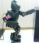 In IEEE-RAS International Conference on Humanoid Robots, pages 60 65, dec. 2010.
