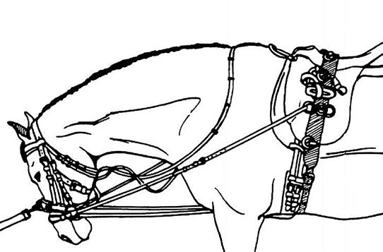 Sliding Side Reins Are very helpful when working horses with conformation shortcomings or re-schooling projects. They can be attached in a variety of ways (see Fig. 12 and p 24).