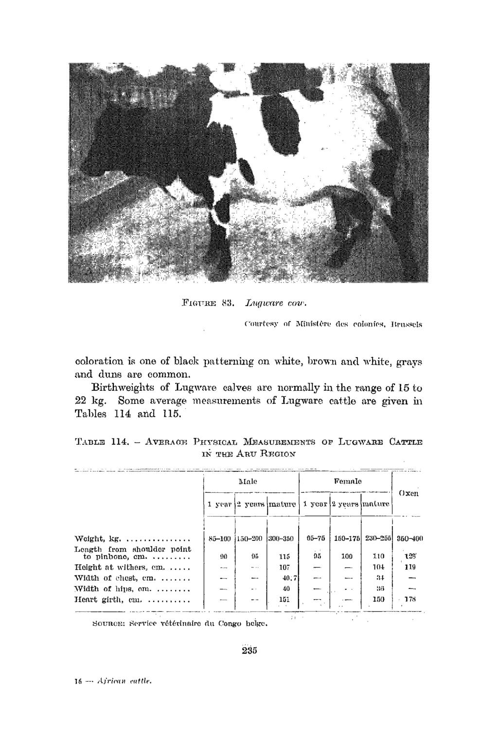 coloration ii\ one of black patterning on white, brown and white, grn,ys and duns are common. Birthweights of Lugwm:e calves are normally in the rn,nge of 15 to 22 kg.