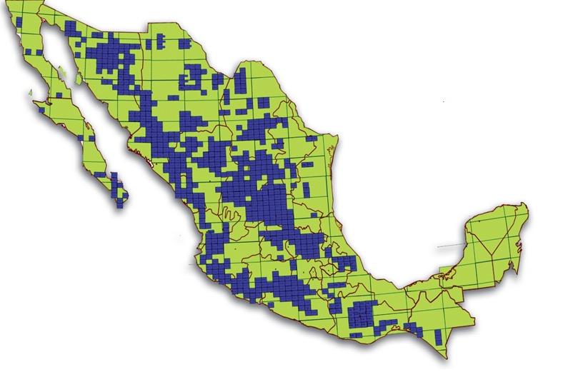 Mexican Geological Survey GEOLOGICAL AND GEOCHEMICAL MAPPING 1:250,000, 19952005 No SURFACE km² 119 1