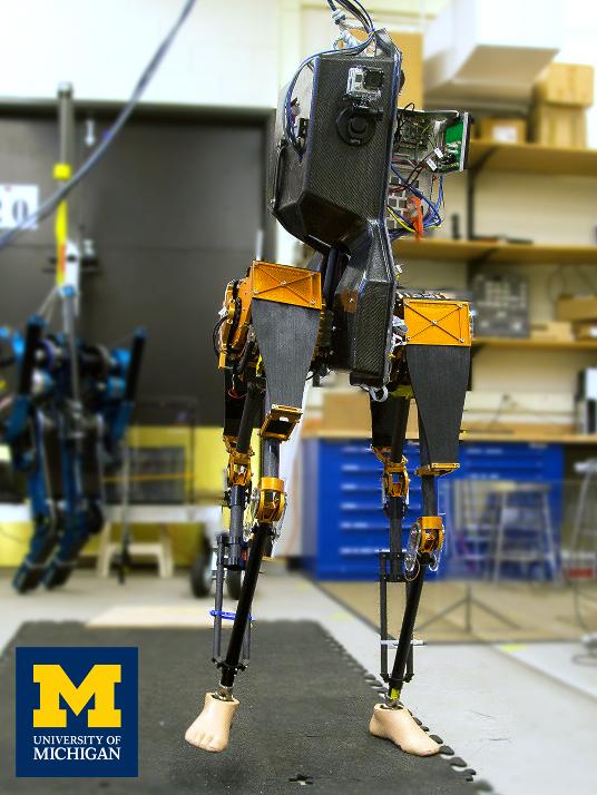 Preliminary Walking Experiments with Underactuated 3D Bipedal Robot MARLO Brian G. Buss 1, Alireza Ramezani 2, Kaveh Akbari Hamed 1, Brent A. Griffin 1, Kevin S. Galloway 3, Jessy W.