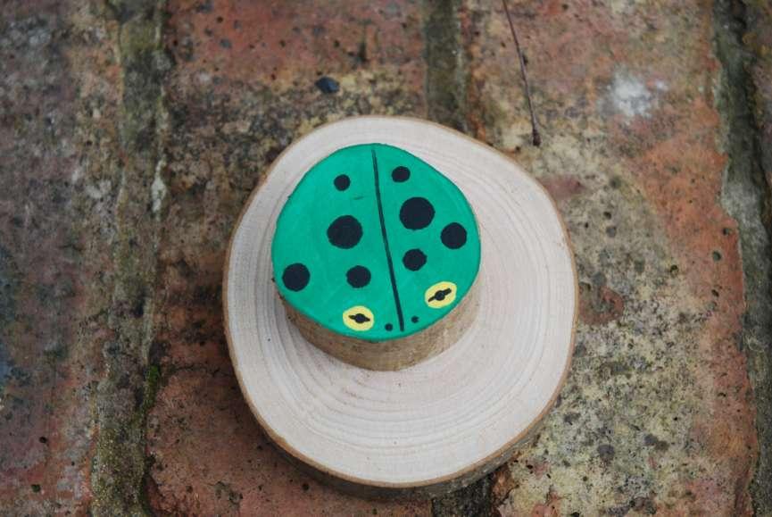 Painted frogs on wood. Paint the whole area green, and allow to dry.