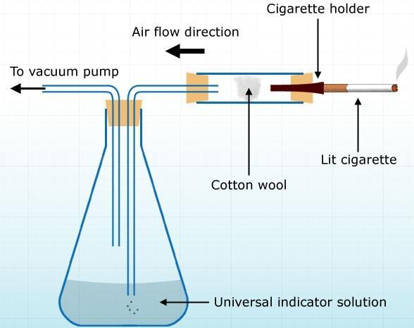 Effects of Cigarette Smoke on the Lungs Experiment Observations - The cotton wool becomes darkish yellow - The temperature in the conical flask increases Page 6 of 7 - The universal indicator