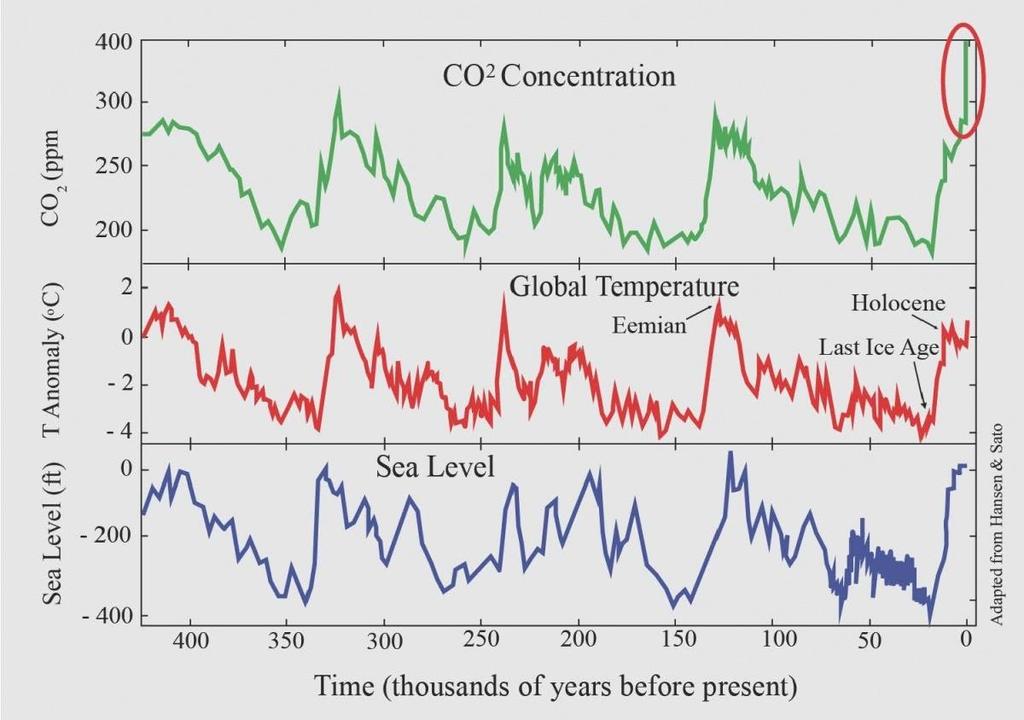 Sea Level (ft) Temperature Change ( ) CO 2 (ppm) Show Me the Data!