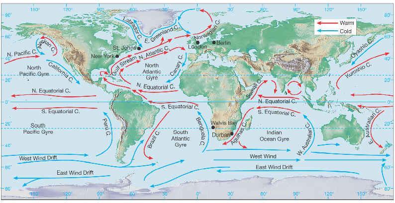 2. Ocean Currents Cold ocean currents: move water towards the