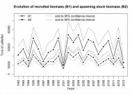 Stock Status Details less risk more risk Time-trends Originally considered as a pest species in the United Kingdom due to its low value and copious ink production (Dunn, 1999), cuttlefish have become