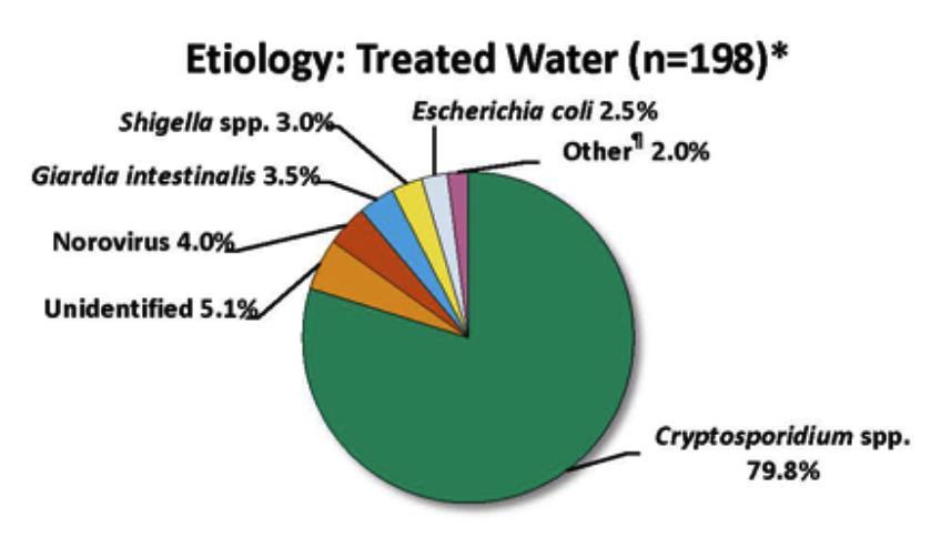 Accidental Fecal Release (AFR) Volume of fecal matter in AFR > 500x higher than fecal sloughing Concentration of Crypto in those with diarrhea may be > 10x higher than those without diarrhea