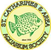 2 Remember each month there is always open class (your choice) Club Notes Meetings of The St. Catharines & Area Aquarium Society, (S.C.A.A.S.), are held on the first Monday of each month at the Seafarers and Teamsters Union Hall, 70 St.