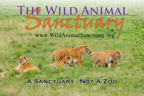 WILD ANIMAL SANCTUARY The Sanctuary's two primary missions involve rescuing and caring for animals and educating