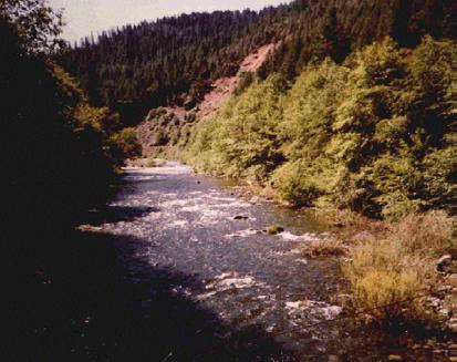 mile watershed is entirely within the Klamath National Forest and is considered a key watershed by the Forest Service.