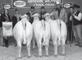 6 20 39 3 7.2 13 NA Look at these Bluegrass sons for calving ease and reasonable performance.