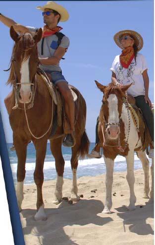 Horseback Riding by Pacific Side (Day 2) You will enjoy a very relaxing walk/trot on the beach.