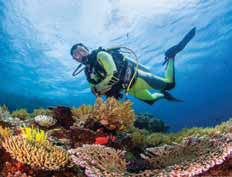 Whether a novice or seasoned diver, our guides will take you to explore these renowned world class dive sites. Between dives, relax and soak up the stunning imagery of wild Indonesia.