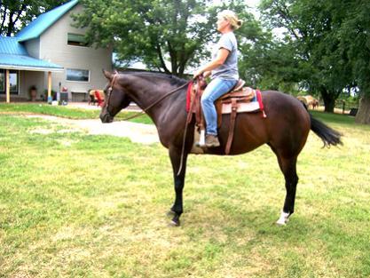2003 AQHA APDX SORREL MARE This is a pretty mare that is sweet and gentle to be around. She has a classic Western Pleasure pedigree but she has points in barrel racing and pole bending.